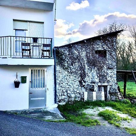 Villa House By The River Monforte De Lemos Exterior foto